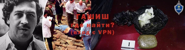 гашик Верея