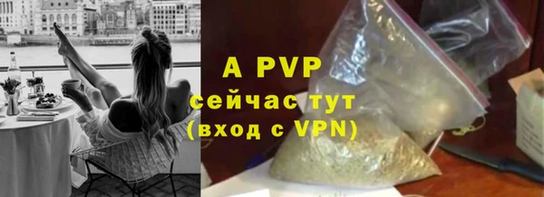 гашик Верея