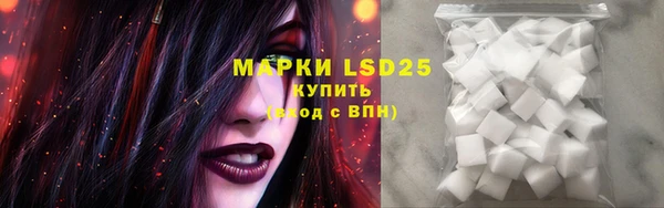 гашик Верея