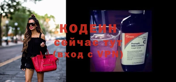 гашик Верея