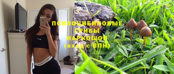 гашик Верея
