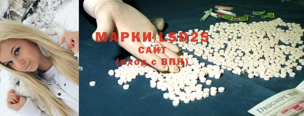 гашик Верея