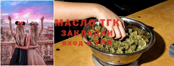 гашик Верея