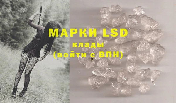 гашик Верея