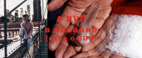 гашик Верея