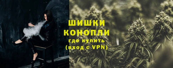 гашик Верея